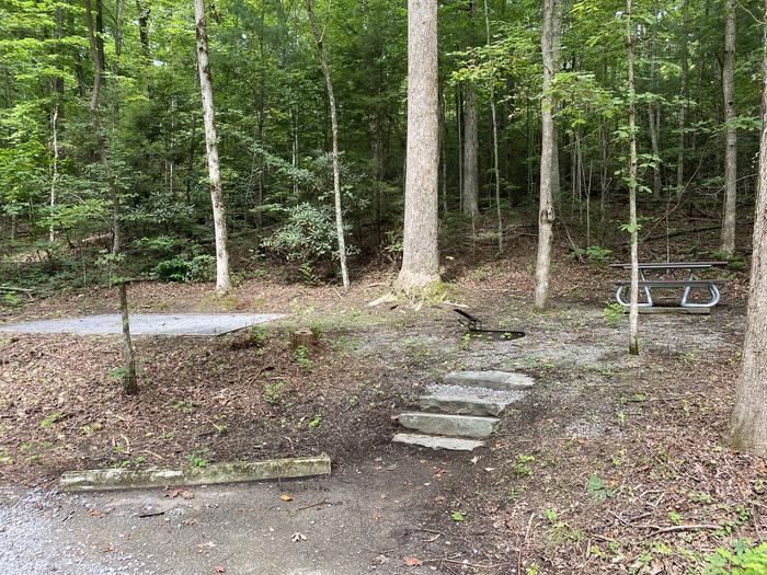 A photo of Site 62 of Loop A at Look Rock Campground with Picnic Table, Fire Pit, Tent Pad