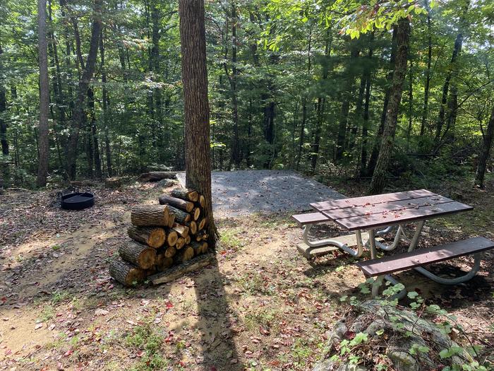 A photo of Site 20 of Loop A at Look Rock Campground with Picnic Table, Fire Pit, Tent Pad