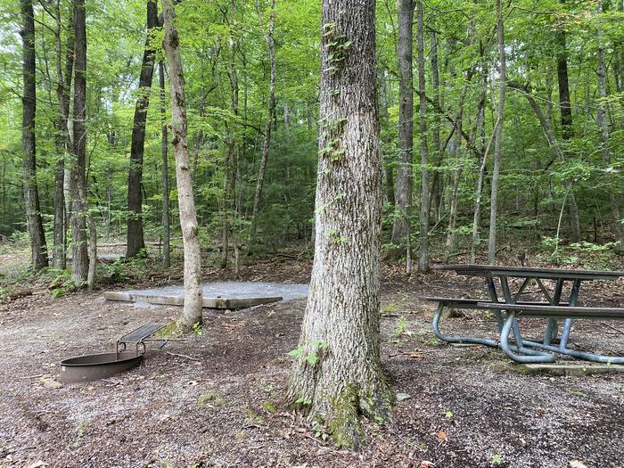 A photo of Site 51 of Loop A at Look Rock Campground with Picnic Table, Fire Pit, Tent Pad