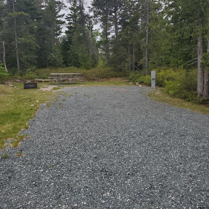 Site A10 of Loop A-Loop at Schoodic Woods Campground with Picnic Table, Electricity Hookup, Fire Pit