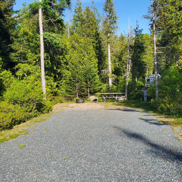 A photo of Site A11 as Viewed From The RoadA photo of Site A11 of Loop A-Loop at Schoodic Woods Campground with Picnic Table, Electricity Hookup, Fire Pit