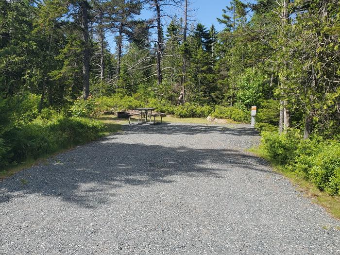Site A12 Schoodic Woods campground Street viewA photo of Site A12 of Loop A-Loop at Schoodic Woods Campground with Picnic Table, Electricity Hookup, Fire Pit