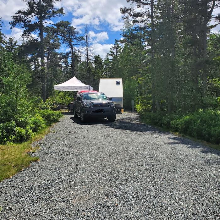 A photo of Site A12 While OccupiedA photo of Site A12 of Loop A-Loop at Schoodic Woods Campground with Picnic Table, Electricity Hookup, Fire Pit