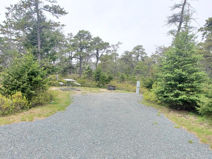 Site A13 As Viewed From The RoadSite A13 in Loop A of Schoodic Woods Campground