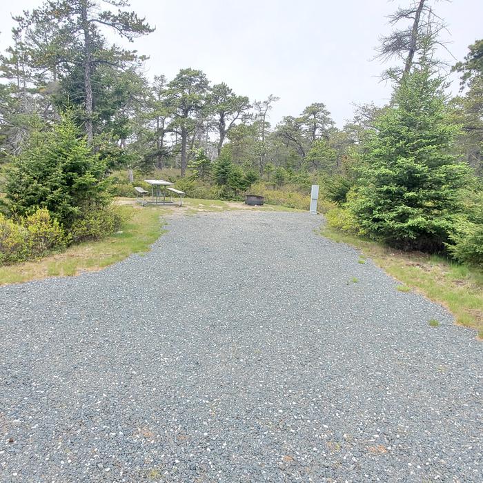 A photo of Site A13 As Viewed From The RoadA photo of Site A13 of Loop A-Loop at Schoodic Woods Campground with Picnic Table, Electricity Hookup, Fire Pit