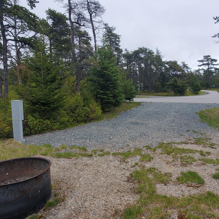 Site A 13 view from rear of siteA photo of Site A13 of Loop A-Loop at Schoodic Woods Campground with Picnic Table, Electricity Hookup, Fire Pit