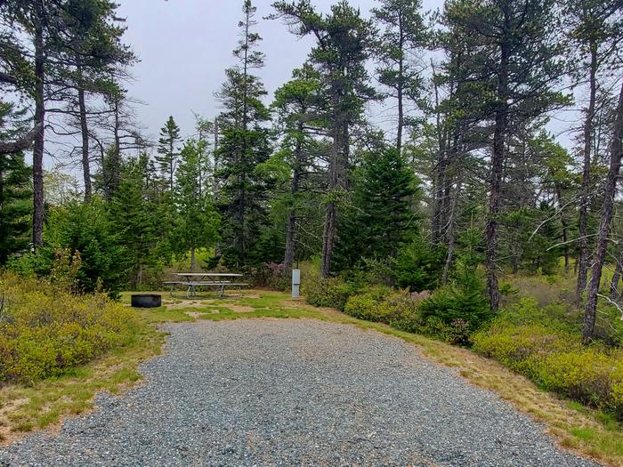 Site A14 As Viewed From The RoadPhoto of Site A14 in Loop A of Schoodic Woods Campground