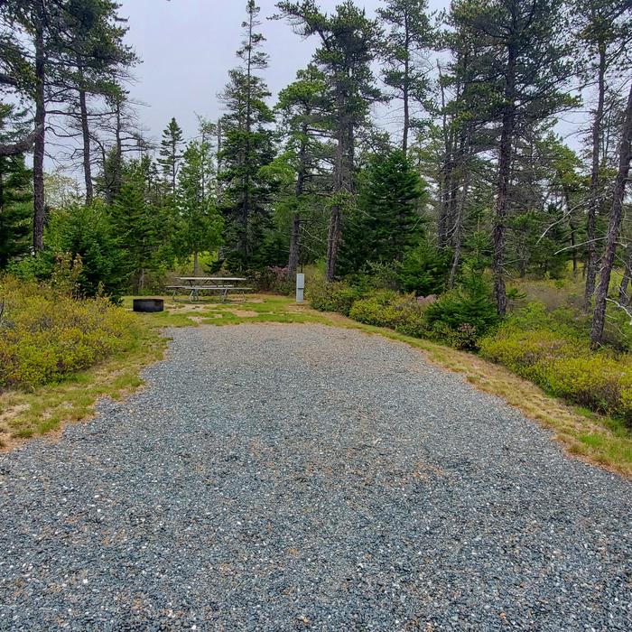 A photo of Site A14 As Viewed From The RoadA photo of Site A14 of Loop A-Loop at Schoodic Woods Campground with Picnic Table, Electricity Hookup, Fire Pit