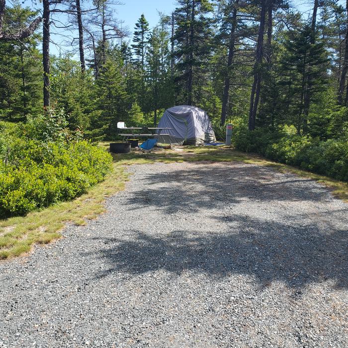 A photo of Site A14 As View OccupiedA photo of Site A14 of Loop A-Loop at Schoodic Woods Campground with Picnic Table, Electricity Hookup, Fire Pit occupied