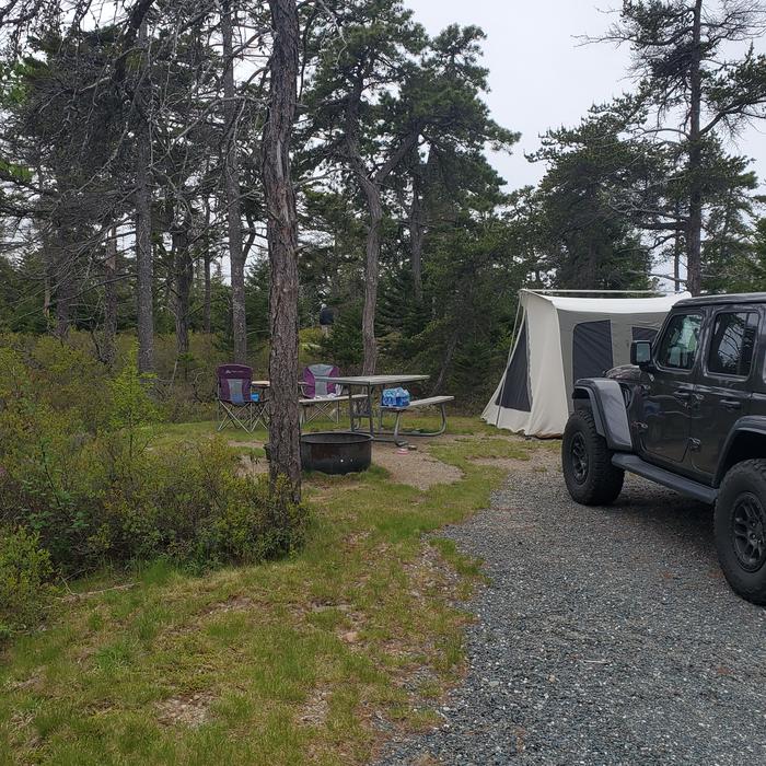 A photo of Site A15 while OccupiedA photo of Site A15 of Loop A-Loop at Schoodic Woods Campground with Picnic Table, Electricity Hookup, Fire Pit