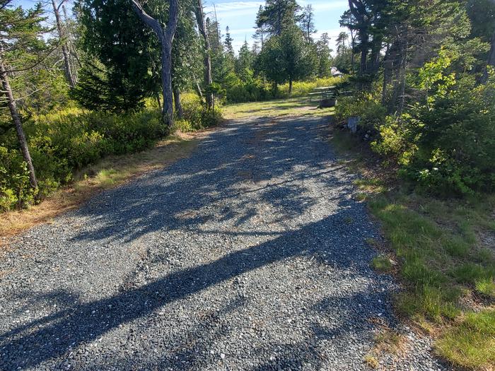 A photo of Site A16 of Loop A-Loop at Schoodic Woods Campground with Picnic Table, Electricity Hookup, Fire Pit