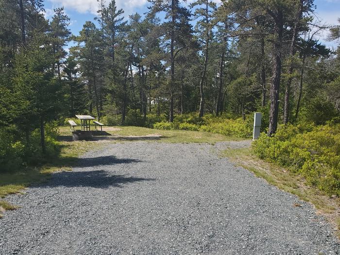 A photo of Site A17 of Loop A-Loop at Schoodic Woods Campground with Picnic Table, Electricity Hookup, Fire Pit