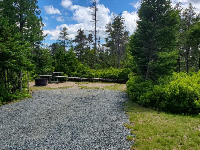 A photo of Site A18 of Loop A-Loop at Schoodic Woods Campground with Picnic Table, Electricity Hookup, Fire Pit