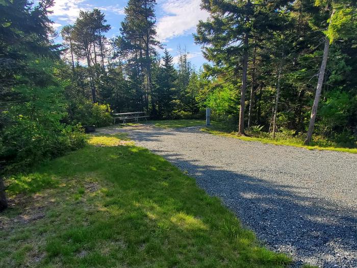 A photo of Site A19 of Loop A-Loop at Schoodic Woods Campground with Picnic Table, Electricity Hookup, Fire Pit