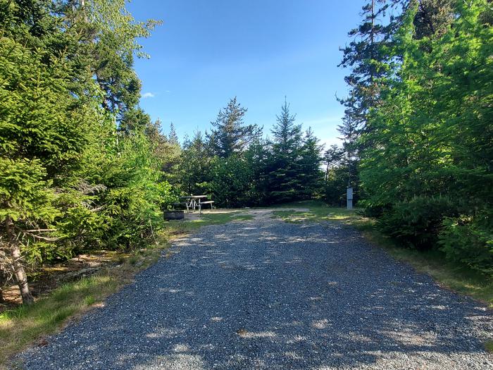 A photo of Site A20 of Loop A-Loop at Schoodic Woods Campground with Picnic Table, Electricity Hookup, Fire Pit