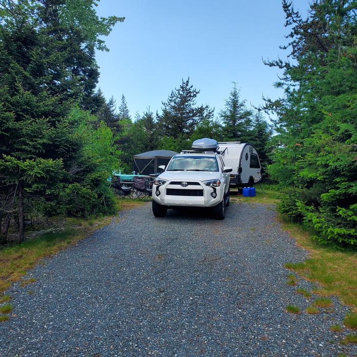 Site A 20 Loop A Schoodic Woods campground occupied