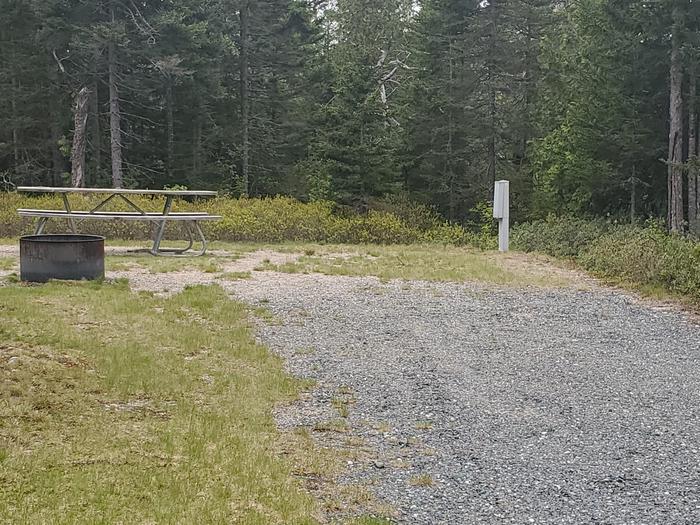 A photo of Site A22 of Loop A-Loop at Schoodic Woods Campground with Picnic Table, Electricity Hookup, Fire Pit