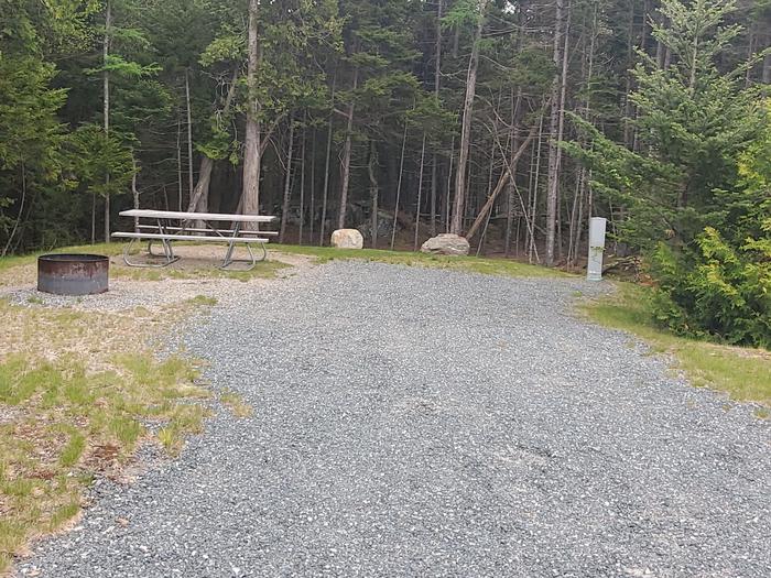 A photo of Site A23 of Loop A- at Schoodic Woods Campground with Picnic Table, Electricity Hookup, Fire Pit