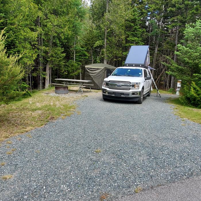 A photo of Site A23 of Loop A-Loop at Schoodic Woods Campground with Picnic Table, Electricity Hookup, Fire PitA photo of Site A23 of Loop A-Loop at Schoodic Woods Campground occupied  with Picnic Table, Electricity Hookup, Fire Pit