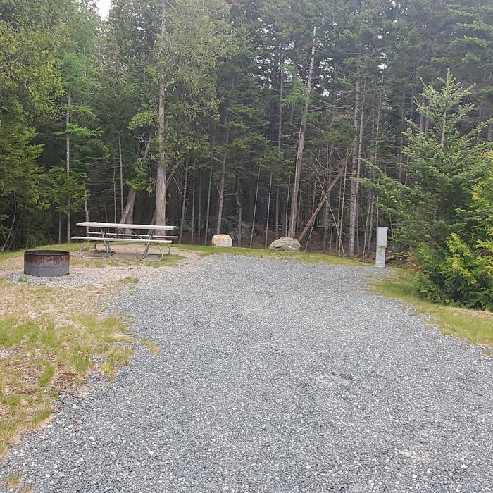 A photo of Site A 23 of  Loop A at Schoodic Woods Campground with Picnic Table, Electricity Hookup, Fire PitA photo of Site A23 of Loop A- at Schoodic Woods Campground with Picnic Table, Electricity Hookup, Fire Pit
