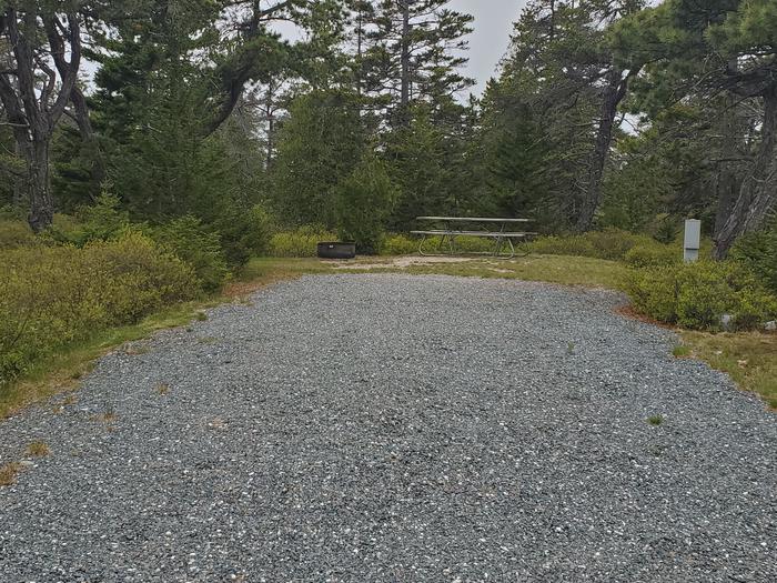 Site A24 As Viewed From The RoadSite A24 in Loop A of Schoodic Woods Campground
