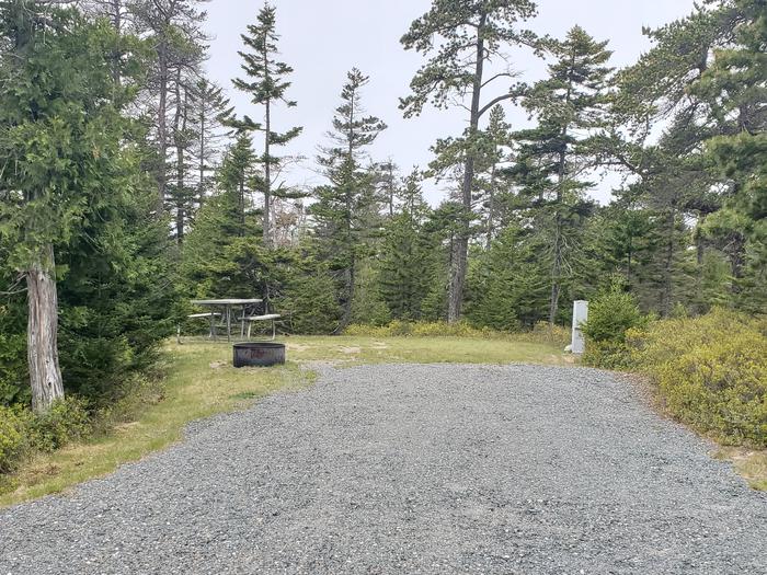 A photo of Site A25 of Loop A-Loop at Schoodic Woods Campground with Picnic Table, Electricity Hookup, Fire Pit