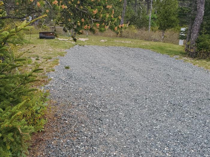 A photo of Site A26 of Loop A-Loop at Schoodic Woods Campground with Picnic Table, Electricity Hookup, Fire Pit