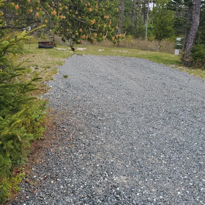 A photo of Site A26 of Loop A- at Schoodic Woods Campground with Picnic Table, Electricity Hookup, Fire PitA photo of Site A26 of Loop A-Loop at Schoodic Woods Campground with Picnic Table, Electricity Hookup, Fire Pit