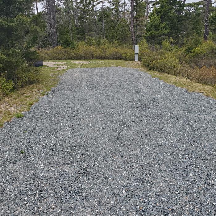  photo of Site A28 of Loop A-Loop at Schoodic Woods Campground with Picnic Table, Electricity Hookup, Fire PitA photo of Site A28 of Loop A-Loop at Schoodic Woods Campground with Picnic Table, Electricity Hookup, Fire Pit