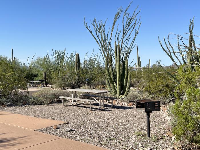 The picnic table surrounded by cactiThe picnic table at 002 surrounded by cacti