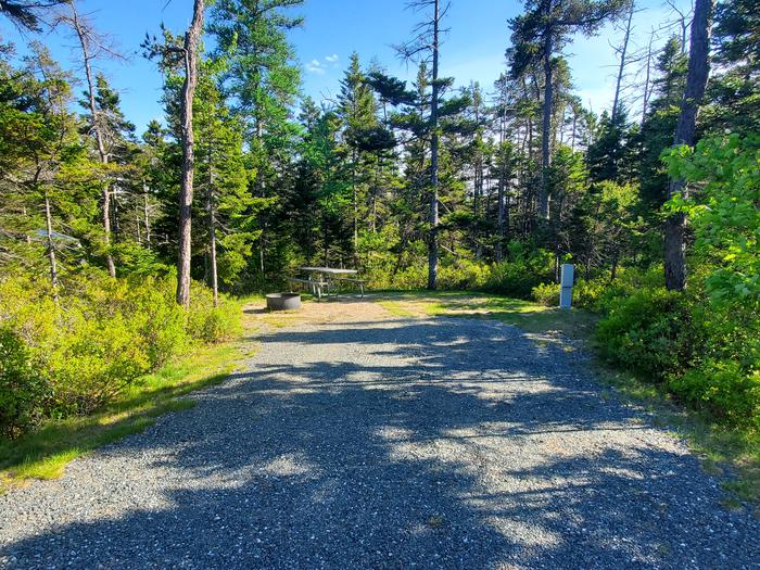 A photo of Site A29 of Loop A-Loop at Schoodic Woods Campground with Picnic Table, Electricity Hookup, Fire Pit