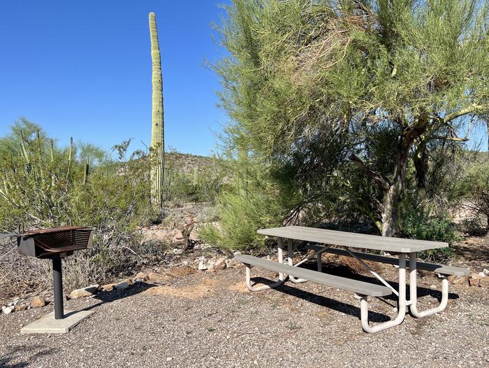 A picnic table sits beside a grill and palo verde treeEach site has a picnic table and grill