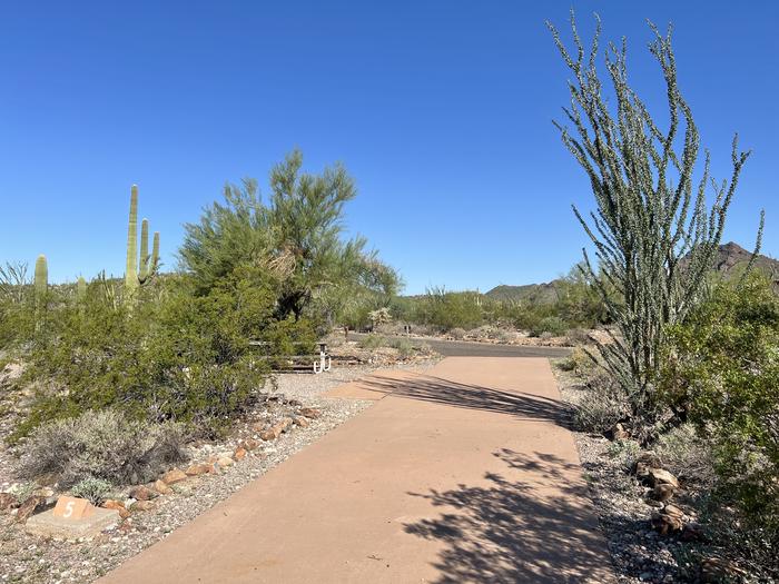 The driveway of site 005 is surrounded by desert vegetation.The driveway exits into a one-way road out of the campground loop.