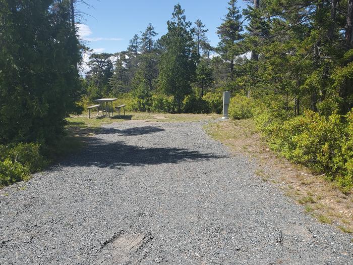 A photo of Site A30 of Loop A-Loop at Schoodic Woods Campground with Picnic Table, Electricity Hookup, Fire Pit