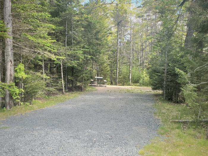 A photo of Site A32 of Loop A-Loop at Schoodic Woods Campground with Picnic Table, Electricity Hookup, Fire Pit