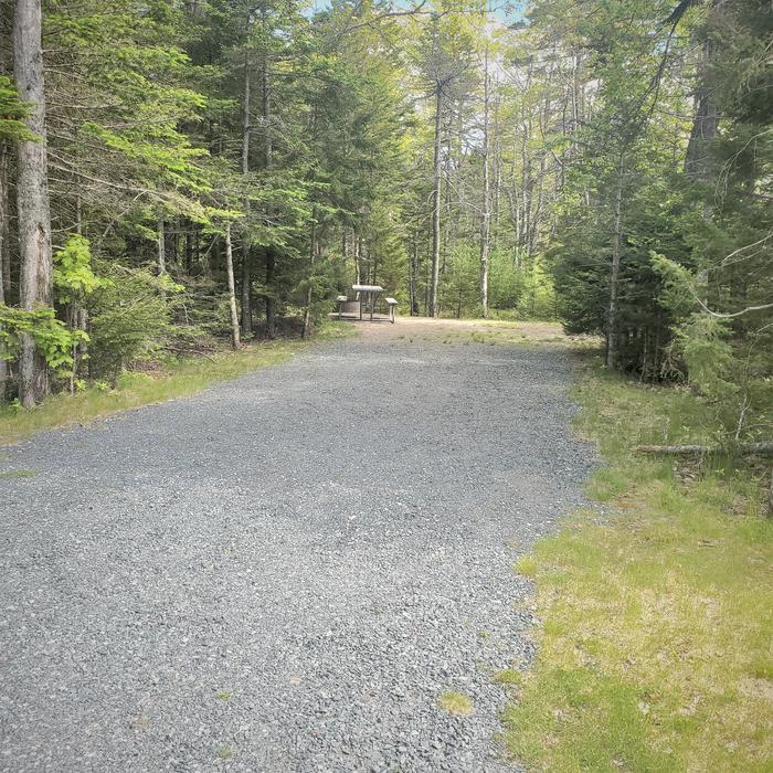 A photo of Site A32 ofSite A 32 Loop A-Loop at Schoodic Woods Campground with Picnic Table, Electricity Hookup, Fire PitA photo of Site A32 of Loop A-Loop at Schoodic Woods Campground with Picnic Table, Electricity Hookup, Fire Pit