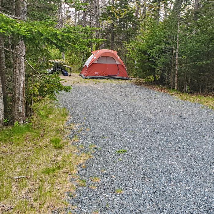  photo of Site A32 ofSite A 32 Loop A-Loop at Schoodic Woods Campground with Picnic Table, Electricity Hookup, Fire PitA photo of Site A32 of Loop A-Loop at Schoodic Woods Campground with Picnic Table, Electricity Hookup, Fire Pit