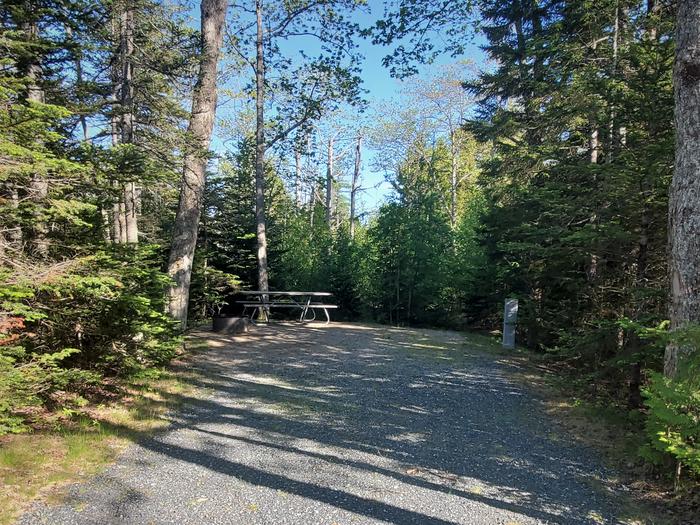 A photo of Site A34 of Loop A-Loop at Schoodic Woods Campground with Picnic Table, Electricity Hookup, Fire Pit