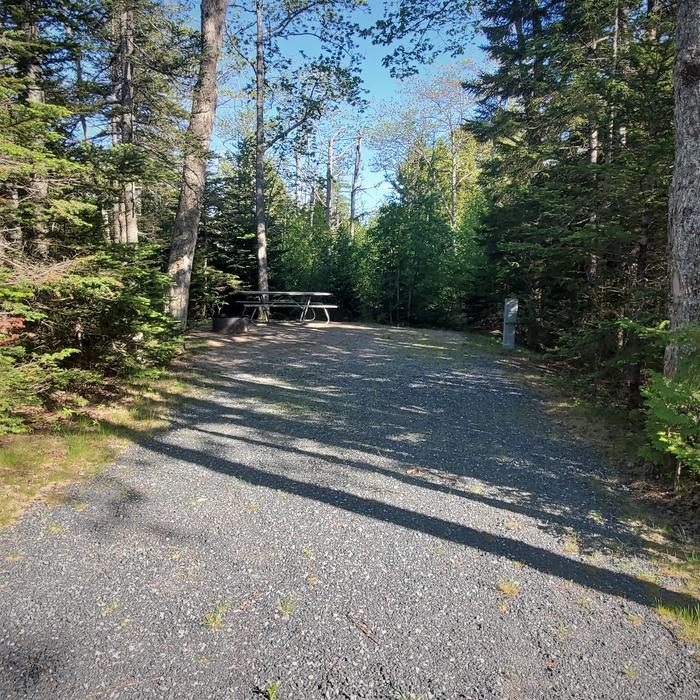 A photo of Site A34 of Loop A at Schoodic Woods Campground with Picnic Table, Electricity Hookup, Fire PitA photo of Site A34 of Loop A-Loop at Schoodic Woods Campground with Picnic Table, Electricity Hookup, Fire Pit