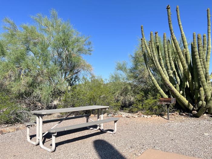 A picnic table sits near a grill and desert plants.The picnic table and grill.