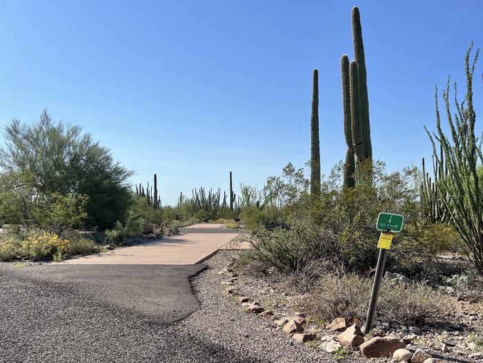 A photo of the entrance to Site 004 of the Loop RV Generator sites at TWIN PEAKS CAMPGROUND with Picnic Table