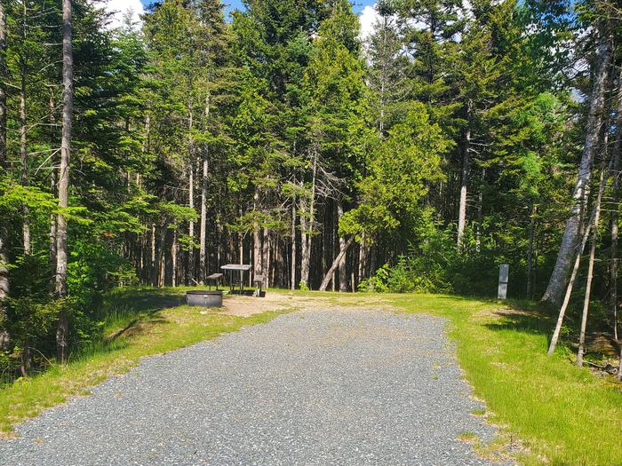 A photo of Site A36 of Loop A-Loop at Schoodic Woods Campground with Picnic Table, Electricity Hookup, Fire Pit