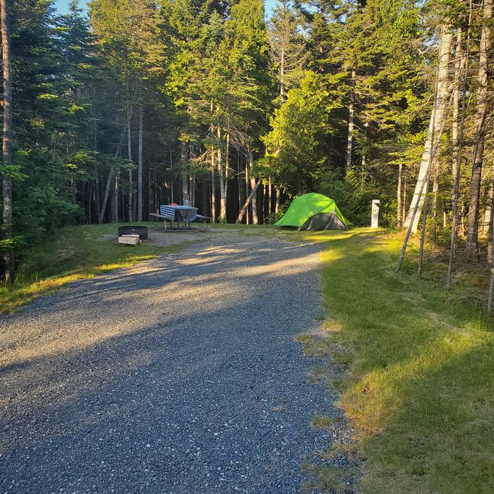  photo of Site A36 of Loop A-Loop at Schoodic Woods Campground with Picnic Table, Electricity Hookup, Fire PitA photo of Site A36 of Loop A-Loop at Schoodic Woods Campground with Picnic Table, Electricity Hookup, Fire Pit
