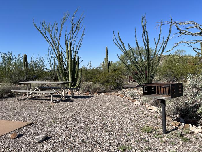 A picnic table sits near a grill and desert vegetation.Each site has a picnic table and grill