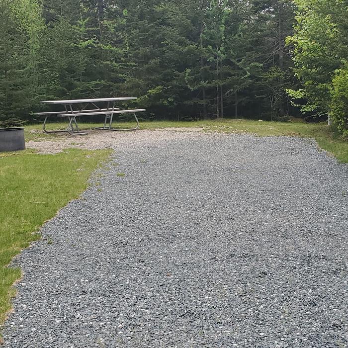 A photo of Site A37 of Loop A at Schoodic Woods campground with Picnic table, electricity hookup, fire pitA photo of Site A37 of Loop A-Loop at Schoodic Woods Campground with Picnic Table, Electricity Hookup, Fire Pit