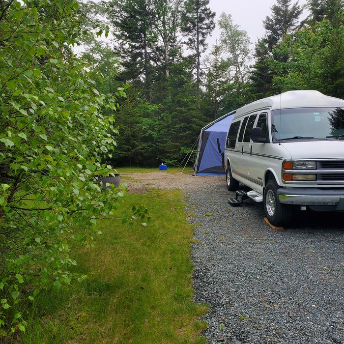 A photo of Site A37 of Loop A-Loop at Schoodic Woods Campground with Picnic Table, Electricity Hookup, Fire Pit