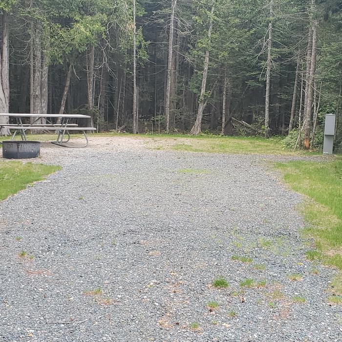 A photo of Site A Loop 37 A-Loop at Schoodic Woods Campground with Picnic Table, Electricity Hookup, Fire PitA photo of Site A37 of Loop A-Loop at Schoodic Woods Campground with Picnic Table, Electricity Hookup, Fire Pit