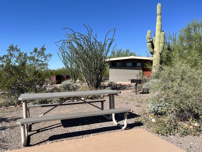 A picnic table sits near a grill and desert vegetation, and a bathroom nearby.Each site has a picnic table and grill.