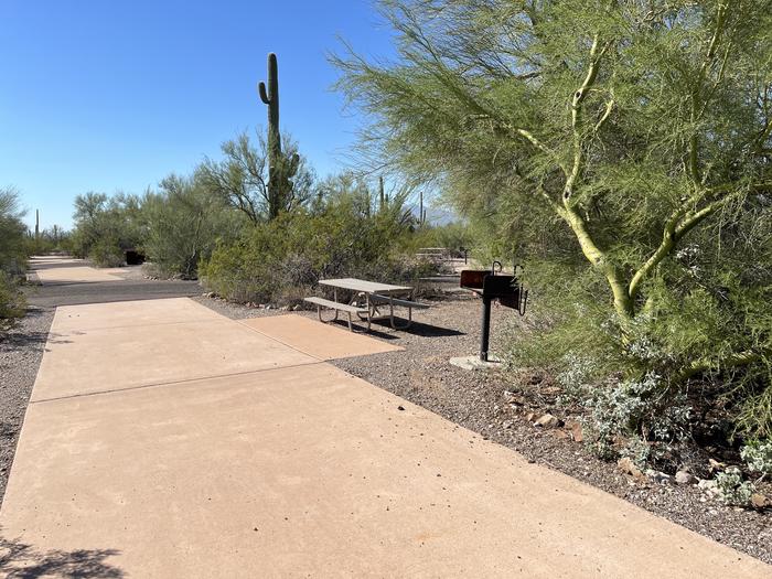 The driveway of the site with the picnic table and grill surrounded by desert plantsEach campsite is marked to easily identify which site it is.