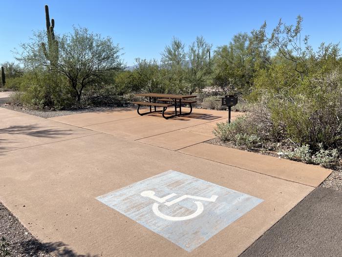 The driveway of the site with the picnic table and grill surrounded by desert plantsEach site has a picnic table and grill.